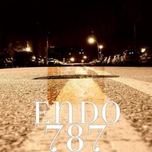 Album Endo - 787 (2015)