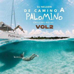 Album DJ Nelson - De Camino A Palomino, Vol. 2, 2022